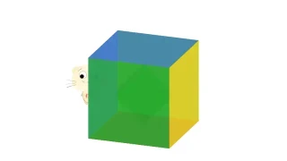 vue.js立方体旋转播放特效 vue.js立方体旋转播放特效