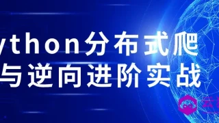 Python分布式爬虫与逆向进阶实战