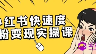 小红书快速度涨粉变现实操课 小红书快速度涨粉变现实操课