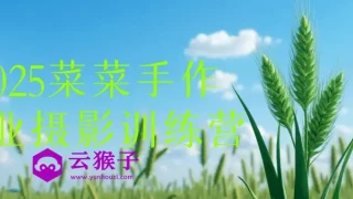 2025菜菜手作专业摄影训练营 2025菜菜手作专业摄影训练营