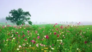 jquery图片滑动排列