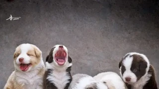 农交网后台
