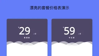 漂亮的套餐价格表演示