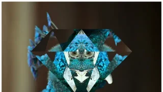 棱镜效果JS滑块切换特效