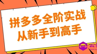 拼多多全阶实战从新手到高手