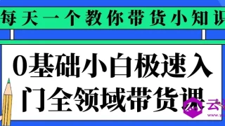 0基础小白极速入门全领域带货课