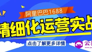 阿里巴巴1688精细化运营实战