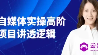 AI自媒体实操高阶项目讲透逻辑