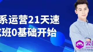 淘系运营21天速成班0基础开始