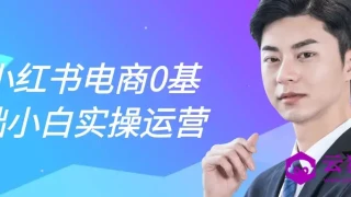 小红书电商0基础小白实操运营