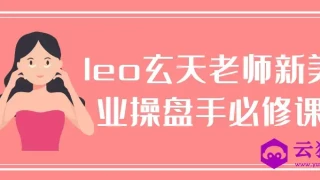 leo玄天老师新美业操盘手必修课