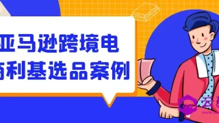 亚马逊跨境电商利基选品案例