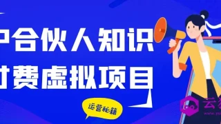 IP合伙人知识付费虚拟项目