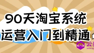 90天淘宝系统运营入门到精通
