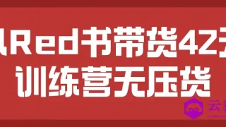 小Red书带货42天训练营无压货