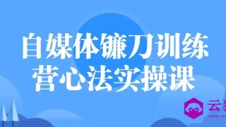 自媒体镰刀训练营心法实操课
