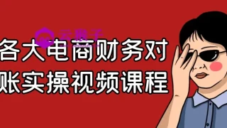 各大电商财务对账实操视频课程