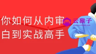 教你如何从内审小白到实战高手
