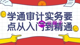 学通审计实务要点从入门到精通课