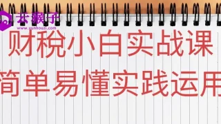 财稅小白实战课简单易懂实践运用