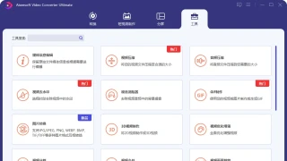 Aiseesoft Video Converter v10.7.20中文绿色版