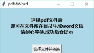 PDF转WORD工具v0.8单文件版