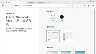 Microsoft Edge v114.0.1823.79绿色增强版