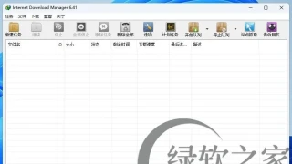 Internet Download Manager v6.41.16绿色版
