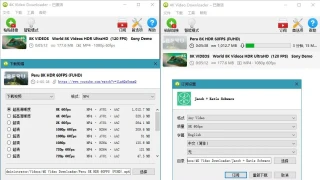 4K Video Downloader v4.26.0.5500绿色版