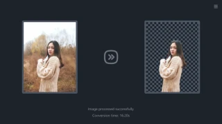 SnapclearPort：离线智能抠图，一键搞定