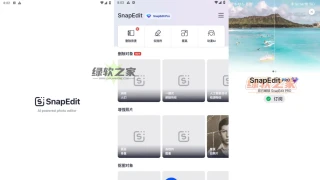 手机AI智能图像编辑器 SnapEdit PRO绿色版