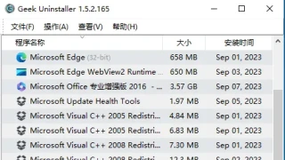 Geek Uninstaller 1.5.2.165 卸载