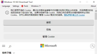 windows ISO dl 微软视窗系统直连下载工具（中文）
