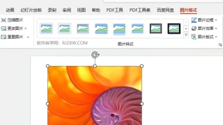 PPT怎么给图片添加密紧映像效果