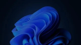 win11耳机插入没有声音是什么问题？详情