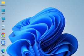 Windows 11 企业版 LTSC 2024 简体中文版