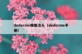 dedecms模板注入（dedecms手册）