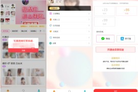 2025最新写真图片视频打赏系统源码完整可用 附教程