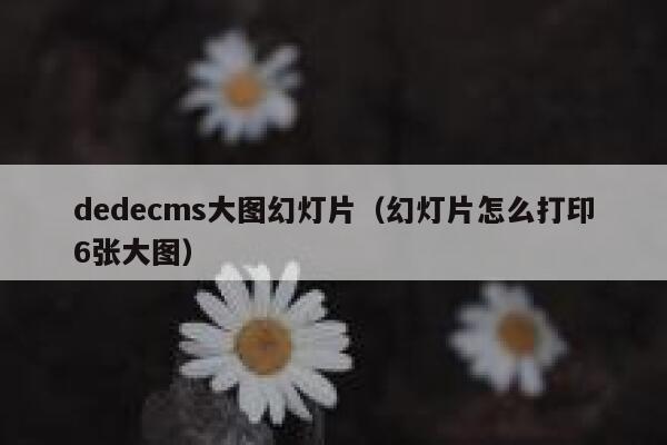 dedecms大图幻灯片（幻灯片怎么打印6张大图）,dedecms教程,织梦cms教程,教程之家,第1张