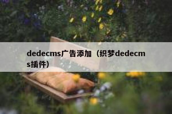 dedecms广告添加(织梦dedecms插件),dedecms教程,织梦cms教程,教程之家,第1张 dedecms广告添加(织梦dedecms插件),dedecms教程,织梦cms教程,教程之家,第1张