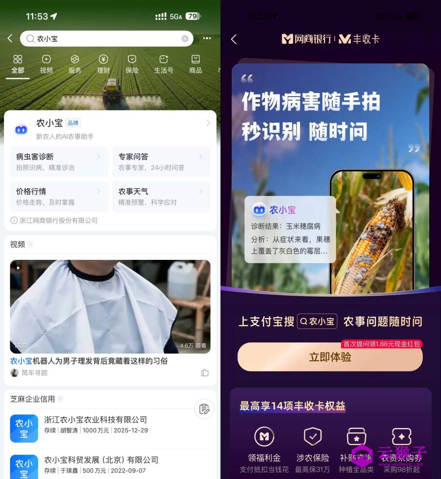 支付宝农小宝首次提问得1.88亓,第1张 支付宝农小宝首次提问得1.88亓,第1张