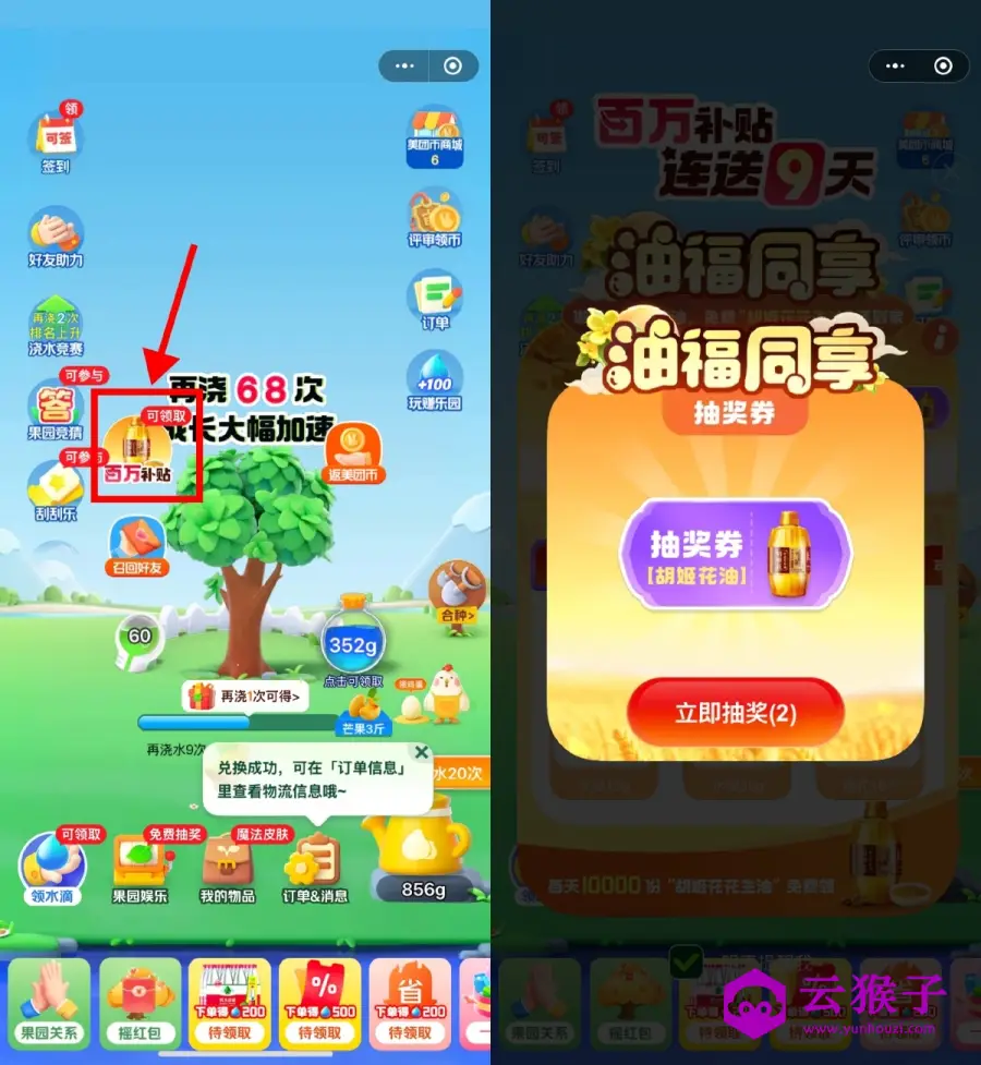 美团小美果园每天抽1万份实物