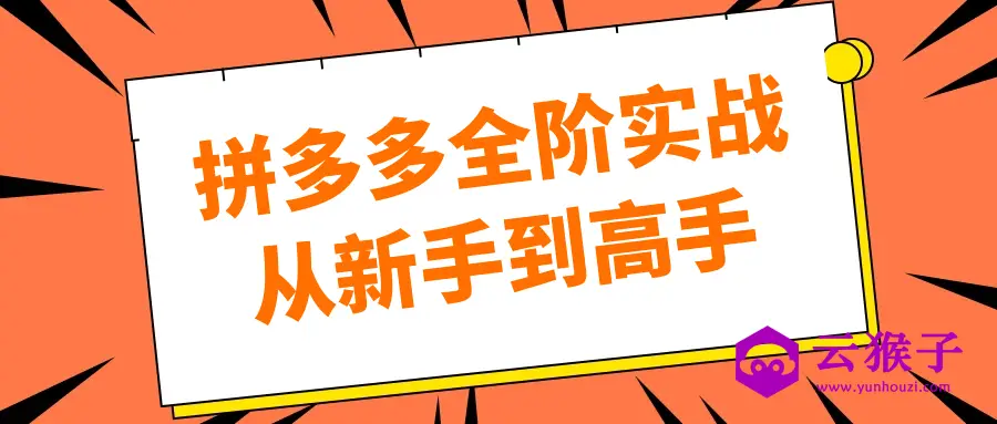 拼多多全阶实战从新手到高手