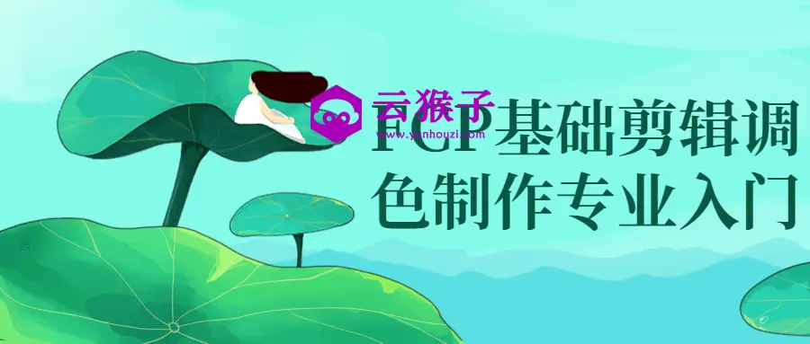 FCP基础剪辑调色制作专业入门,第1张